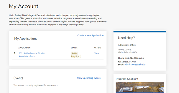 view application on page